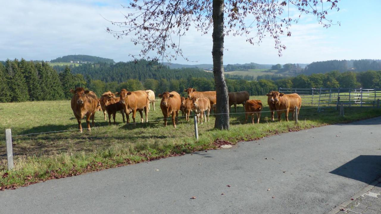 Aussichtsbauernhofpension Hof Gretchens Winterberg Esterno foto