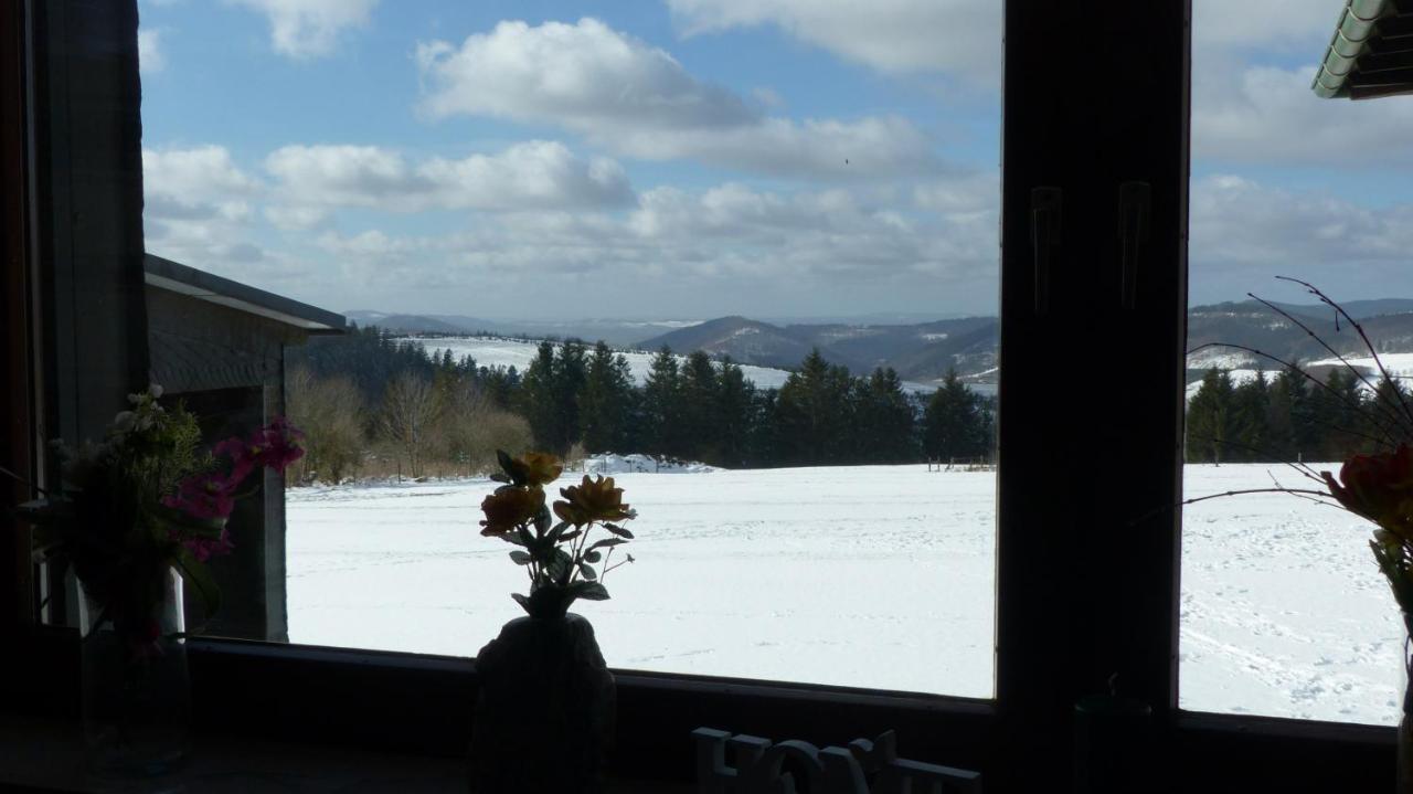Aussichtsbauernhofpension Hof Gretchens Winterberg Esterno foto