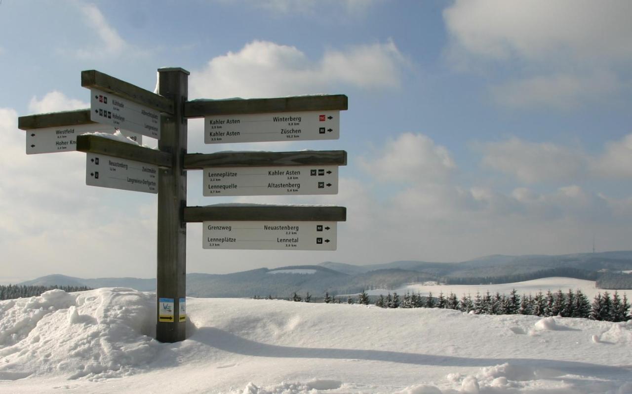 Aussichtsbauernhofpension Hof Gretchens Winterberg Esterno foto