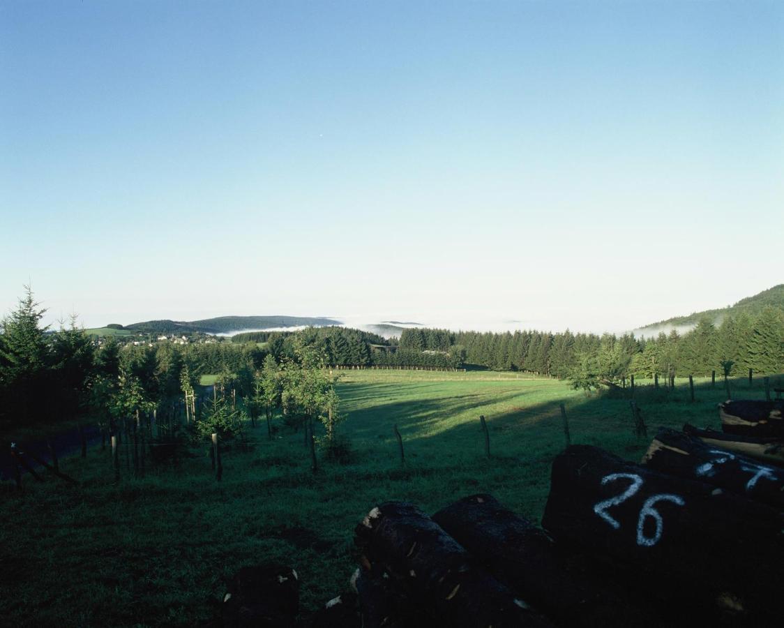 Aussichtsbauernhofpension Hof Gretchens Winterberg Esterno foto