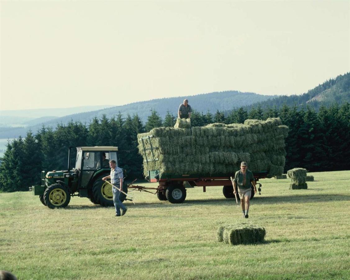 Aussichtsbauernhofpension Hof Gretchens Winterberg Esterno foto