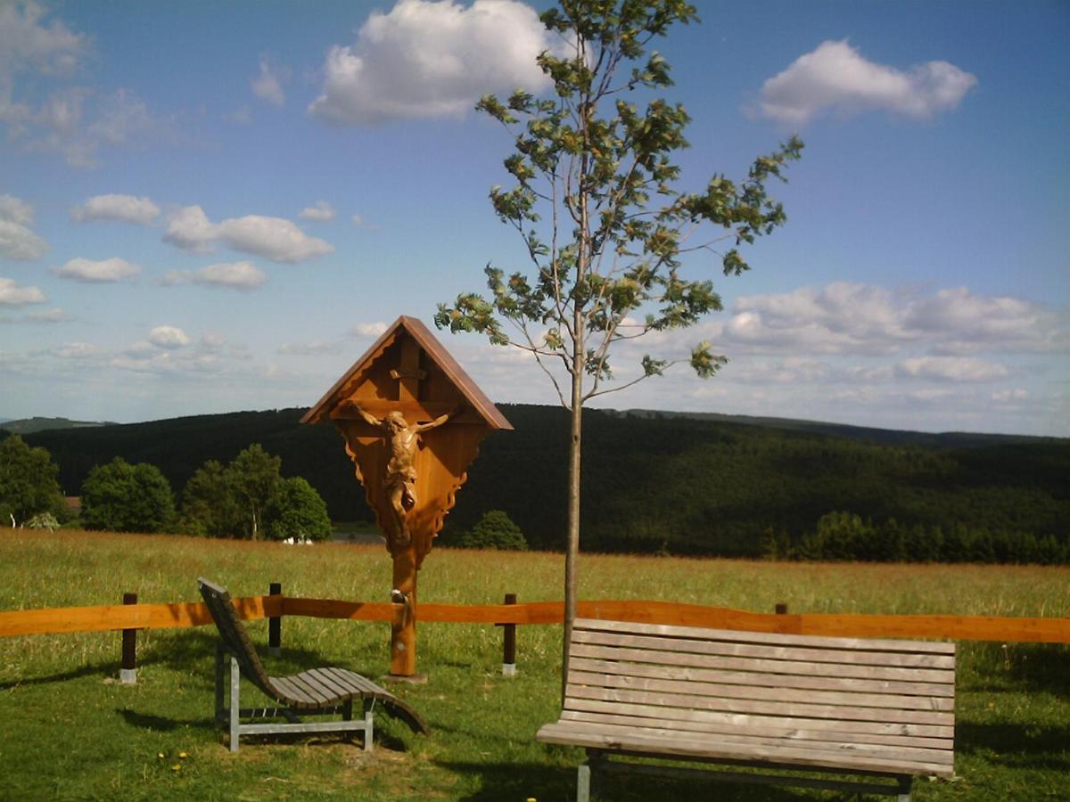 Aussichtsbauernhofpension Hof Gretchens Winterberg Esterno foto