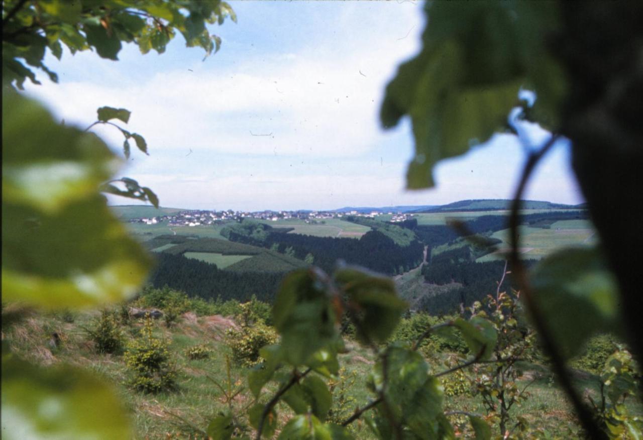Aussichtsbauernhofpension Hof Gretchens Winterberg Esterno foto